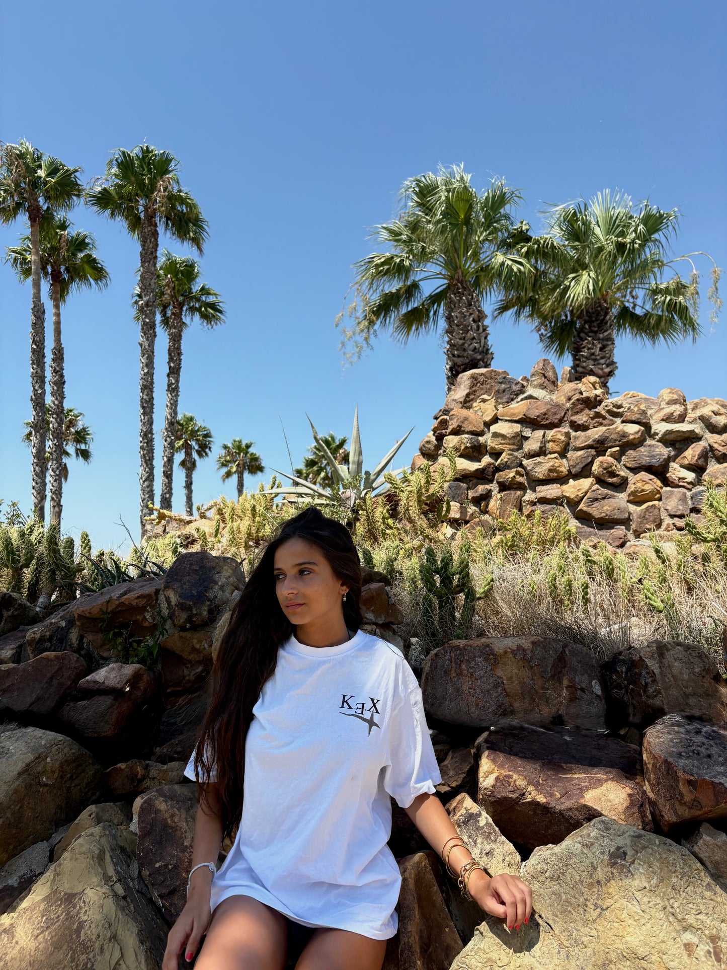 Camiseta The Leap